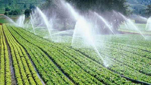 Đặc điểm máy bơm nước phục vụ nông nghiệp và tiêu chí lựa chọn