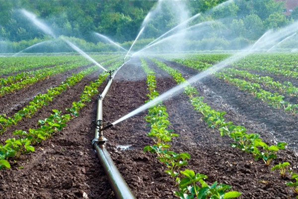 Những điều cần biết về motor bơm nước nông nghiệp 